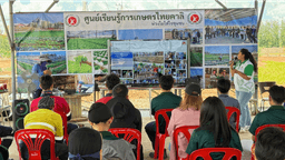 งานดี (6)