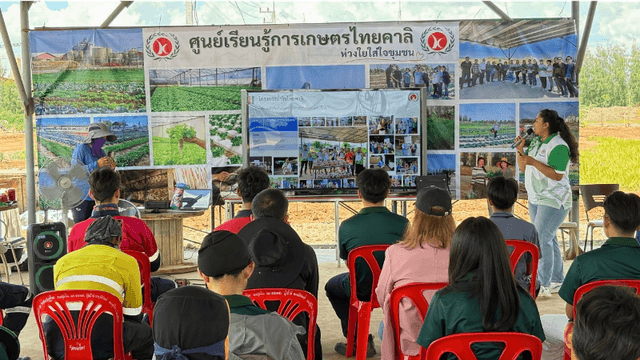 งานดี (6)