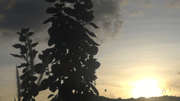 Why Join Us (2)