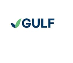 Gulf Energy Development Public Company Limited